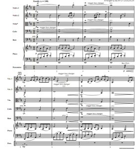 时光隽永，直至永恒 弦乐重奏+钢琴 总分谱 有试听-云音圈