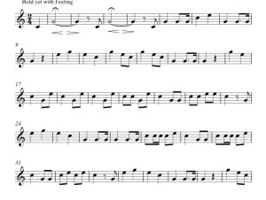 标价非售价 最后的岗位（军号传令曲）吉姆版 小号独奏 有试听-云音圈