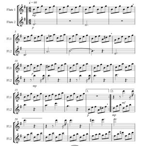 标价非售价 月光奏鸣曲 第一乐章 大卫版 长笛二重奏 总谱+分谱 有试听-云音圈