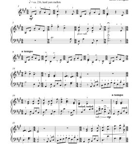 标价非售价 欢悦 艾琳版 马林巴独奏 有试听-云音圈