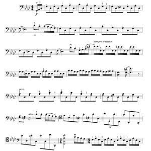 标价非售价 涂成黑色 大提琴独奏 有试听-云音圈