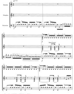 狂欢色彩 马林巴+颤音琴+打击乐 总谱 有试听-云音圈