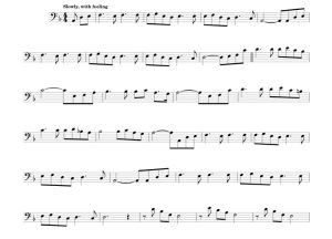 标价非售价 神秘园之歌 大提琴独奏  有试听-云音圈