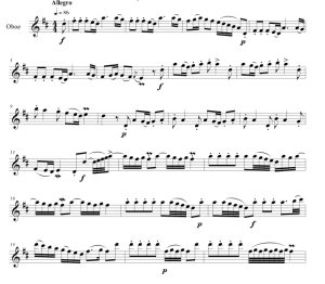 标价非售价 维瓦尔第 四季 春 詹姆斯版 双簧管独奏  有试听-云音圈