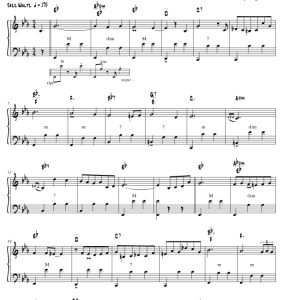 标价非售价 肖邦夜曲Op. 9 No.2 阿里戈版 手风琴独奏 有试听-云音圈