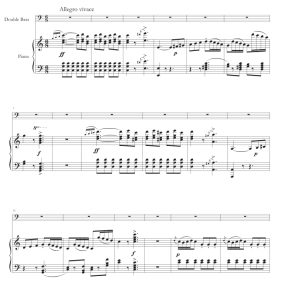 费加罗的短曲 快给大忙人让路 马拉尼版 低音提琴钢琴 总分谱 有试听-云音圈