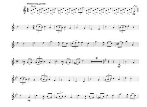 标价非售价 跨越星辰  约翰版 双簧管独奏 有试听-云音圈