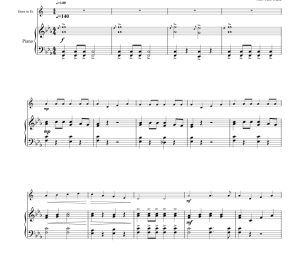 醉酒的水手 蒂姆版 圆号钢琴 总分谱 有试听-云音圈