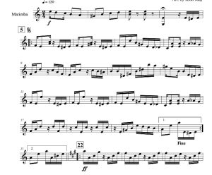 标价非售价 雀鸟嬉谷 约翰・梅 马林巴独奏  有试听-云音圈