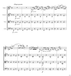 骑士之舞 马拉尼版 弦乐四重奏 总谱+分谱 有试听-云音圈