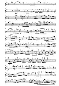 标价非售价 E 小调长笛协奏曲 长笛独奏 带钢琴伴奏 有试听-云音圈