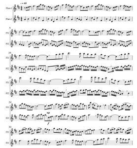 标价非售价 丹尼男孩 卡马达版 长笛二重奏 总分谱 有试听-云音圈