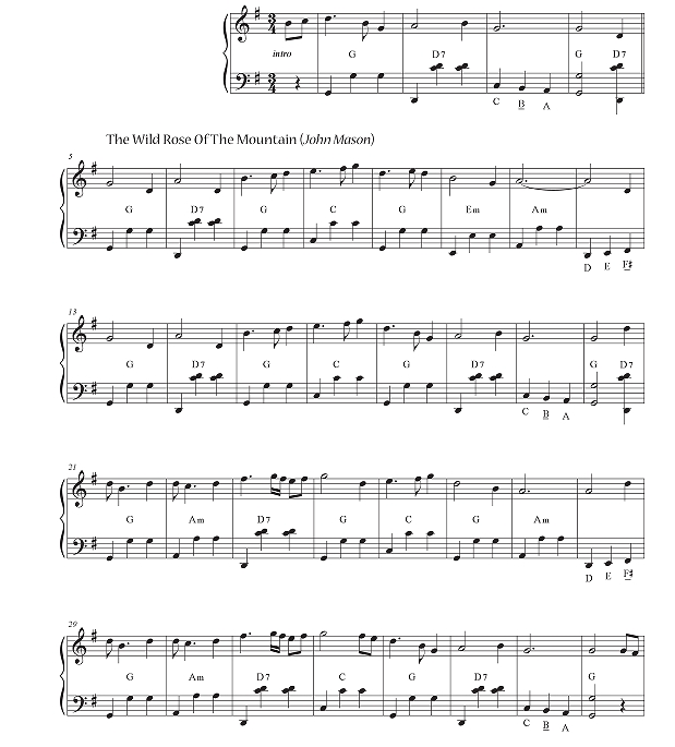 乡村圆舞曲 朱莉娅版 手风琴独奏 有试听