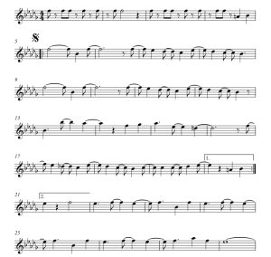 标价非售价 从一开始 韦斯利版 长笛独奏 有试听-云音圈