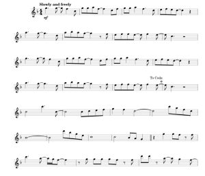 标价非售价 去年圣诞 威猛乐队 长笛独奏 有试听-云音圈