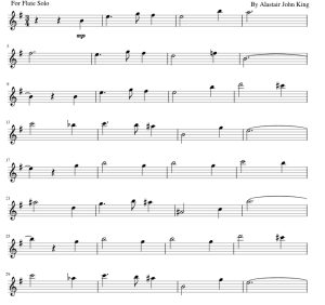 标价非售价 哈利・波特与凤凰社 改编自潘 长笛独奏  有试听-云音圈