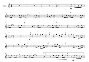 标价非售价 唯能想象 海森堡版 长笛独奏 有试听-云音圈