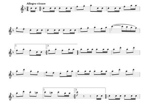 标价非售价 威廉退尔序曲 罗西尼版 长笛独奏 有试听-云音圈