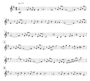 标价非售价 婚后生活 利奥版 单簧管独奏 有试听-云音圈