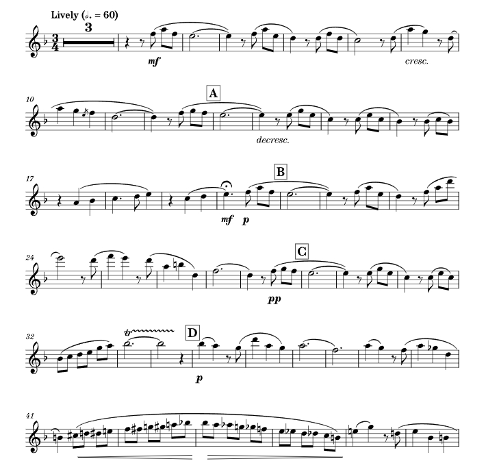 婚后生活 华彩版 长笛独奏 有试听