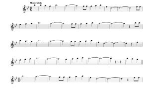 标价非售价 安妮的歌 约翰版 长笛独奏 有试听-云音圈