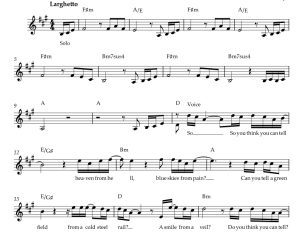 标价非售价 愿你在此 TTP改编 单簧管独奏 有试听-云音圈