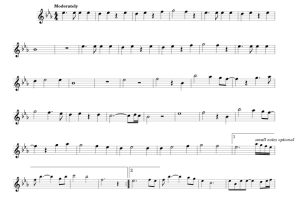 标价非售价 我心永恒 长笛独奏 有试听-云音圈