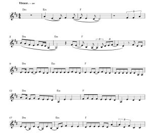 标价非售价 浅眠 纪尧姆版 单簧管独奏 有试听-云音圈