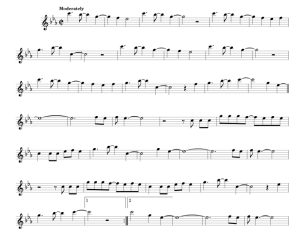 标价非售价 海洋之眸 比莉版 长笛独奏 有试听-云音圈