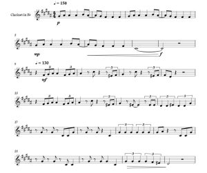 标价非售价 鎏金 比利版 单簧管独奏 有试听-云音圈