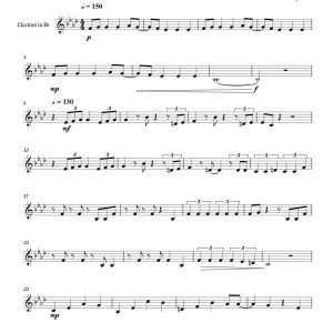 标价非售价 鎏金年华 比利版 单簧管独奏 有试听-云音圈