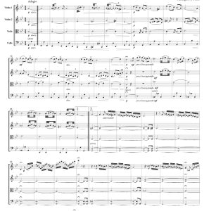 标价非售价 阿尔贝诺尼 G 小调柔板 FCMUSIC 官方原版 弦乐四重奏 总谱+分谱 有试听-云音圈