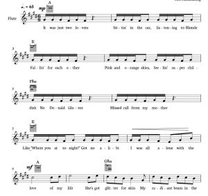 标价非售价 黄金时刻 海森堡版 长笛独奏 有试听-云音圈