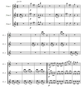 CAN CAN 康康舞曲 C大调 长笛三重奏 总谱 自动发货-云音圈