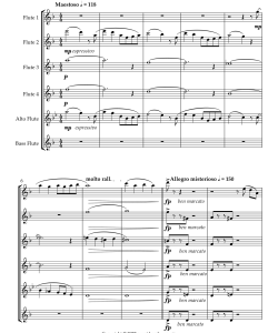 谍影 长笛六重奏 霍斯利官方原版 总谱+分谱  有试听  自动发货-云音圈