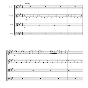 标价非售价 《阿甘正传》主题曲 迭戈官方原版 弦乐四重奏 总谱+分谱 有试听-云音圈