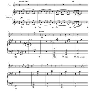 人生的旋转木马 长笛钢琴 卡登萨官方原版 总谱+分谱 有试听 自动发货-云音圈