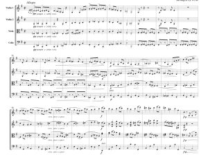 标价非售价 勃拉姆斯 大学庆典序曲官方原版 弦乐四重奏 总谱+分谱 有试听-云音圈