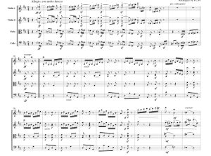 标价非售价 埃尔加 威风堂堂进行曲 第一首 官方原版 弦乐四重奏 总谱+分谱 有试听-云音圈