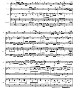 巴赫G 大调奏鸣曲 bwv1038 长笛小提琴大提琴钢琴 卡拉官方原版 总谱+分谱 有试听 自动发货-云音圈