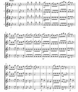 康康舞曲 长笛四重奏 韦伯官方原版 总谱+分谱 有试听 自动发货-云音圈