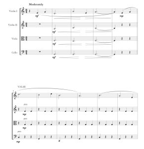 标价非售价 我需要你 迭戈官方原版 弦乐四重奏 总谱+分谱 有试听-云音圈