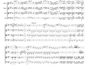 标价非售价 施特劳斯 蝙蝠序曲 官方原版 弦乐四重奏 总谱+分谱 有试听-云音圈