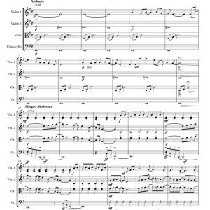 标价非售价 甲壳虫乐队5首经典串烧 安德鲁官方原版 弦乐四重奏 总谱+分谱 有试听-云音圈