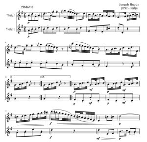 第 101 号交响曲 时钟 第二乐章 行板 长笛二重奏 格伦官方原版 总谱+分谱  有试听  自动发货-云音圈