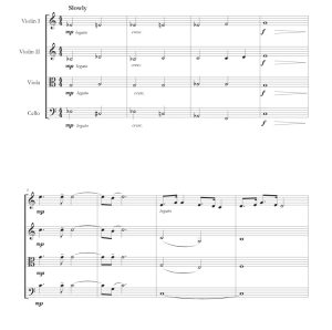 标价非售价 自新大陆交响曲・广板 迭戈官方原版 弦乐四重奏 总谱+分谱 有试听-云音圈