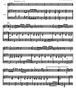 艰辛的人生 小提琴钢琴 林哈特官方原版 总谱+分谱 有试听 自动发货-云音圈