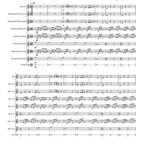 标价非售价 虫儿飞 打击乐合奏 乔尔官方原版 总谱+分谱 有试听-云音圈