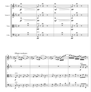 标价非售价 走私贩进行曲 与 哈巴涅拉 迭戈官方原版 弦乐四重奏 总谱+分谱 有试听-云音圈