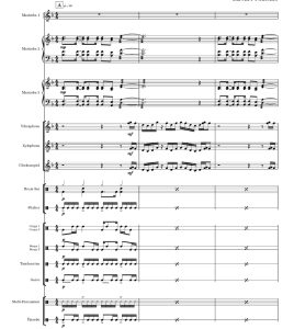 标价非售价 非洲 打击乐合奏 蒂姆官方原版 总谱+分谱 有试听-云音圈